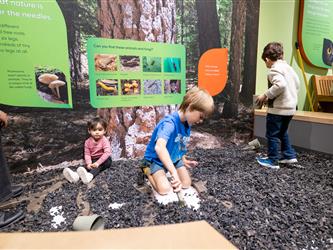 guest interacting with activity 
