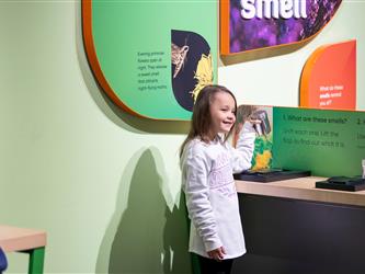 children engaged with display