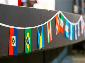 assorted country flags